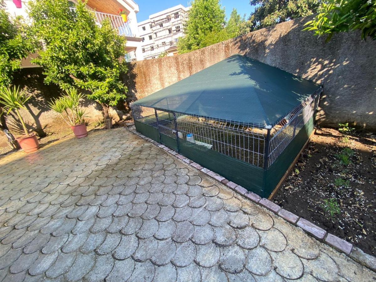 Gather Inn Guest House Шкодер Экстерьер фото